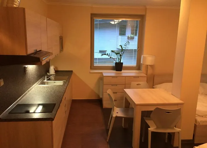 Apartman Harrachov 公寓 *