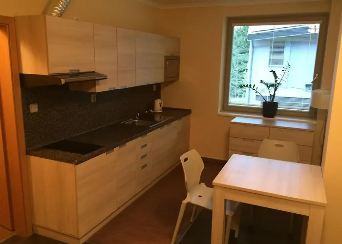 Apartman Harrachov Harrachov